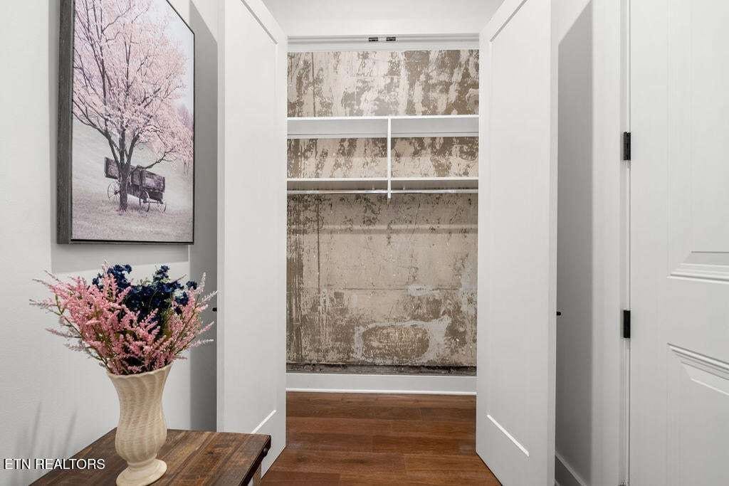 century-4164541757513-2