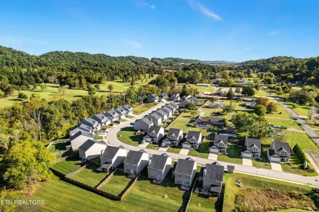 Albatross-Lane-05631001052