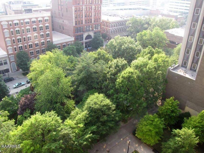 Holston-1104-11453340