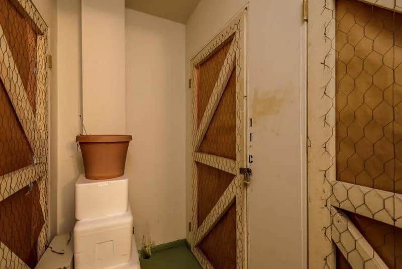 20201007140919977692000000-o 20201007140919977692000000-o